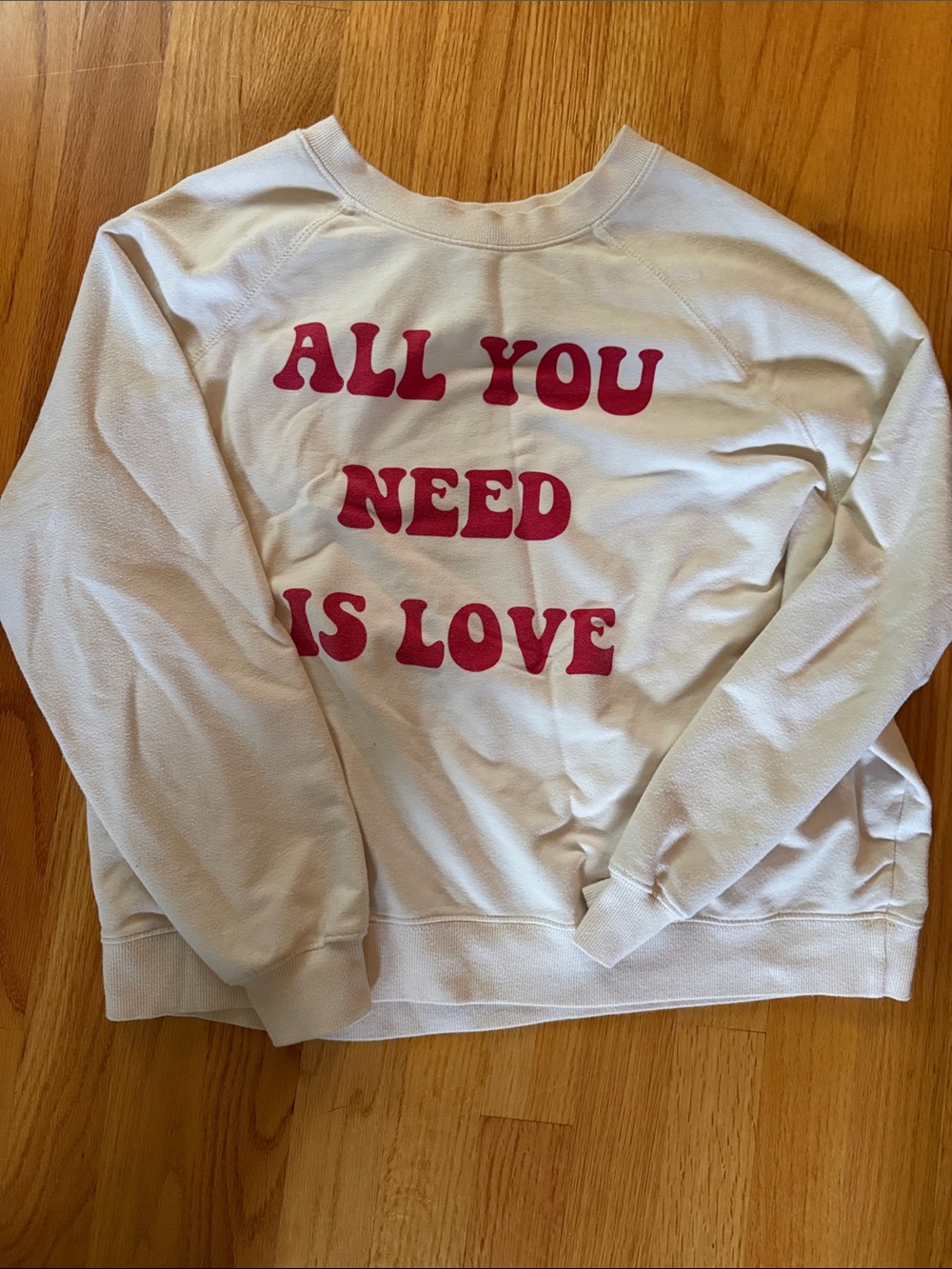 Wildfox 'All You Need Is Love' sweatshirt